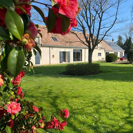 Bed and Breakfast Au Ginkgo Chaumont-sur-Loire Exterior foto