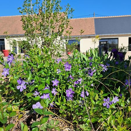 Bed and Breakfast Au Ginkgo Chaumont-sur-Loire Exterior foto