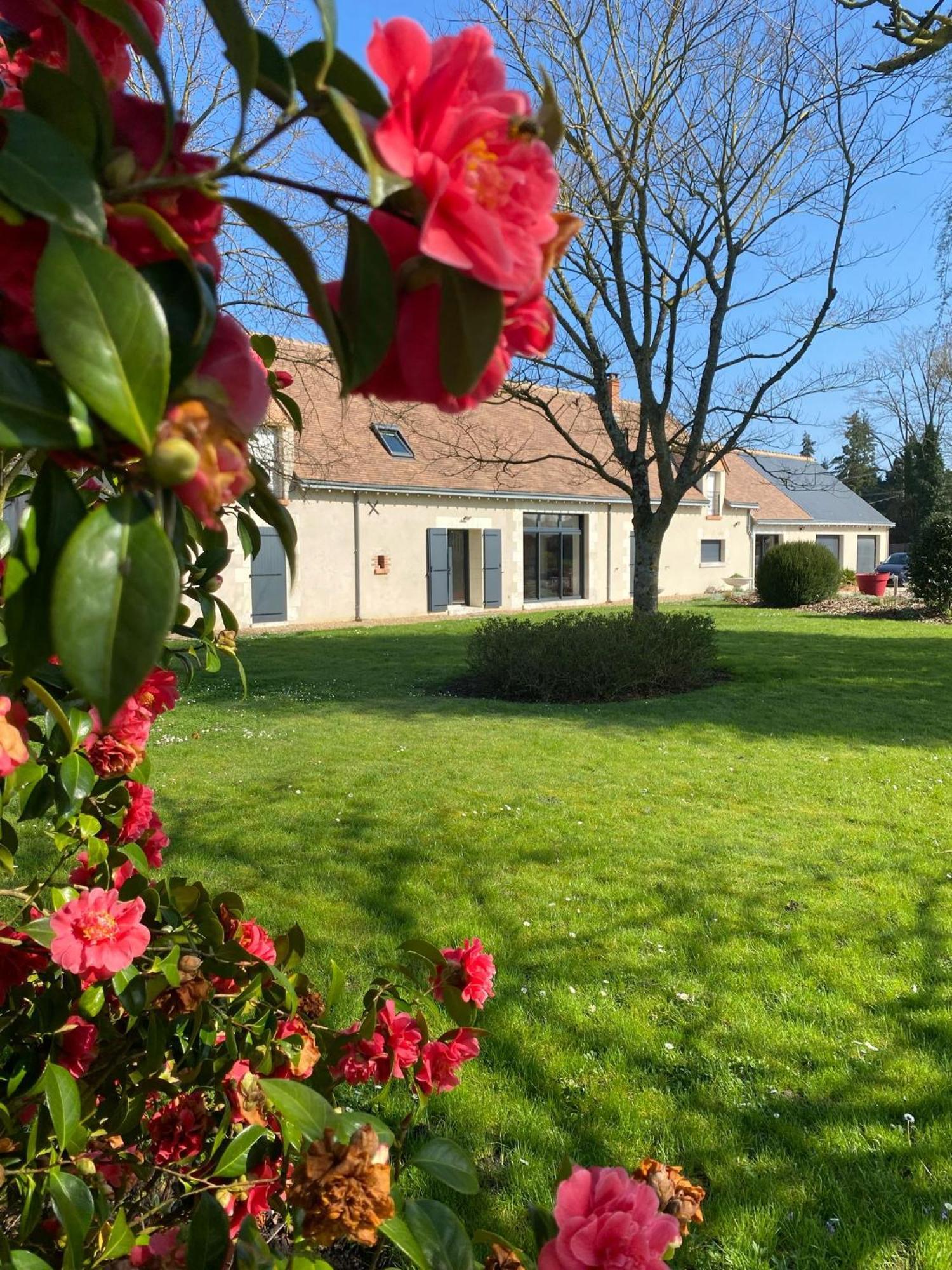 Bed and Breakfast Au Ginkgo Chaumont-sur-Loire Exterior foto